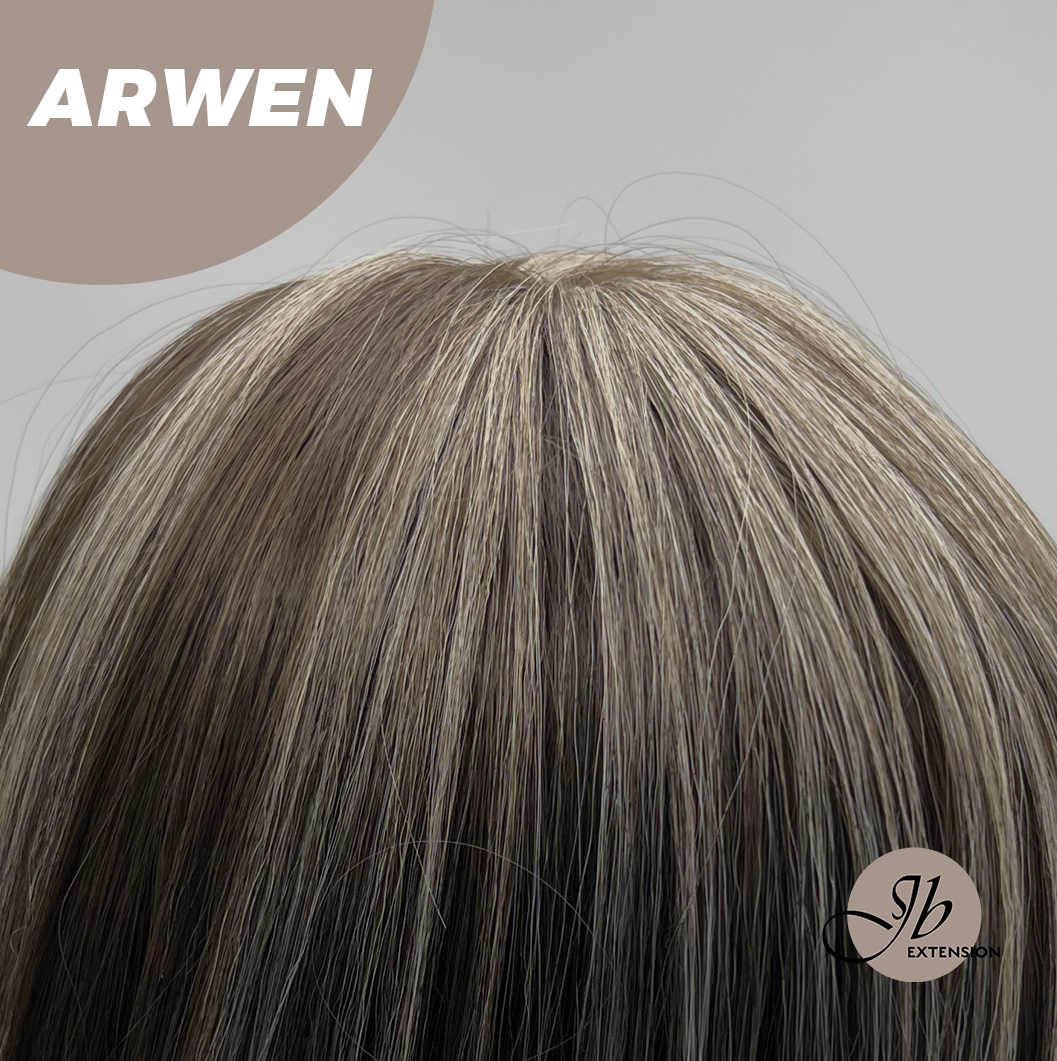 JBEXTENSION 24 Inches Dark Brown with Grey Highlight Wig ARWEN