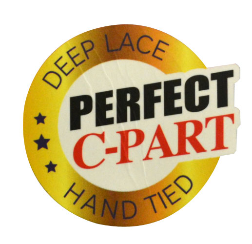 Zury Sis A Line Cut Wig A LINE H ELISA