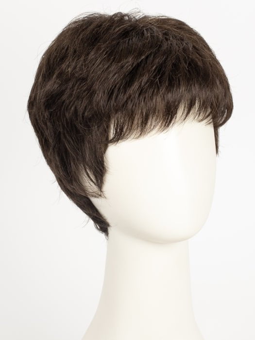 Jamie | Synthetic Wig (Basic Cap)