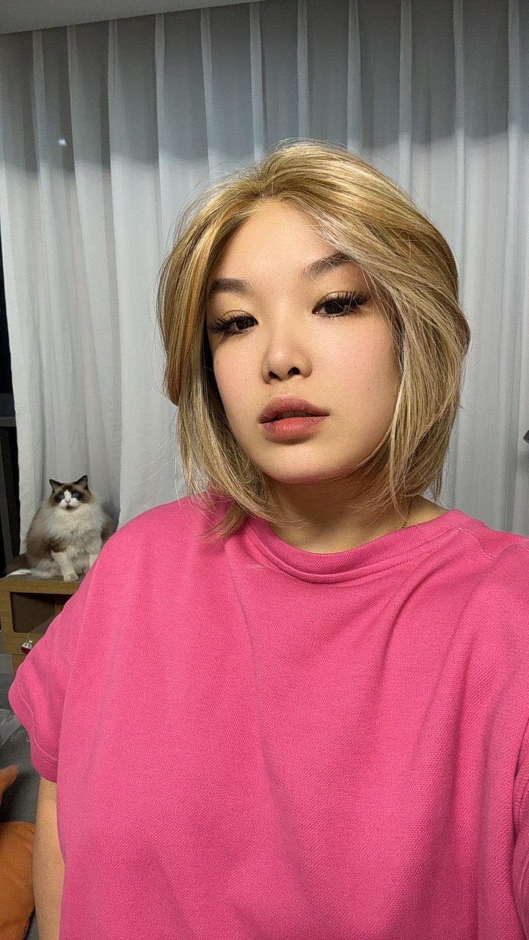 JBEXTENSION 12 Inches Bob Cut Honey Blonde Pre-Cut Snowflake Lace Frontlace Glueless Wig KHLOE HONEY BLONDE【PERMATEASE】【BENDY EAR TABS】