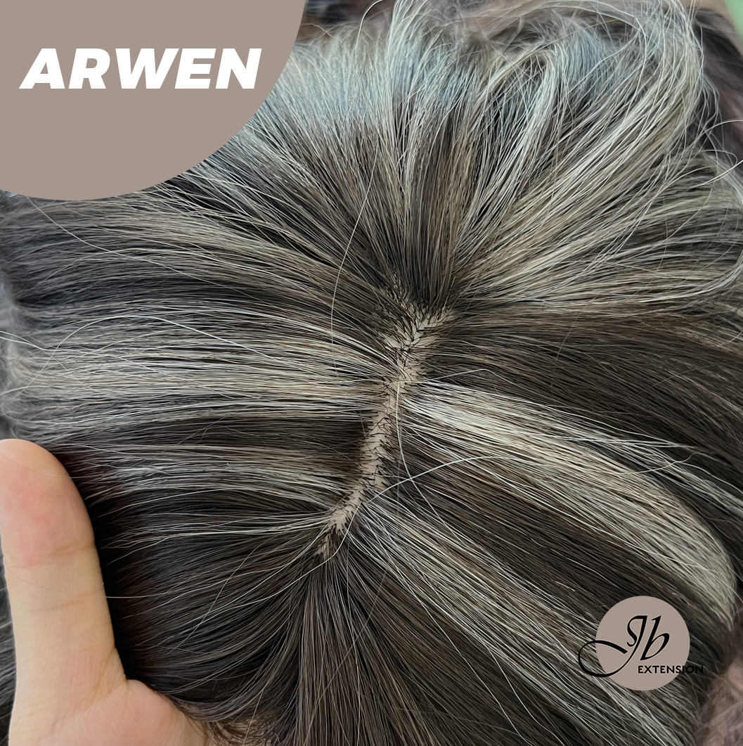 JBEXTENSION 24 Inches Dark Brown with Grey Highlight Wig ARWEN