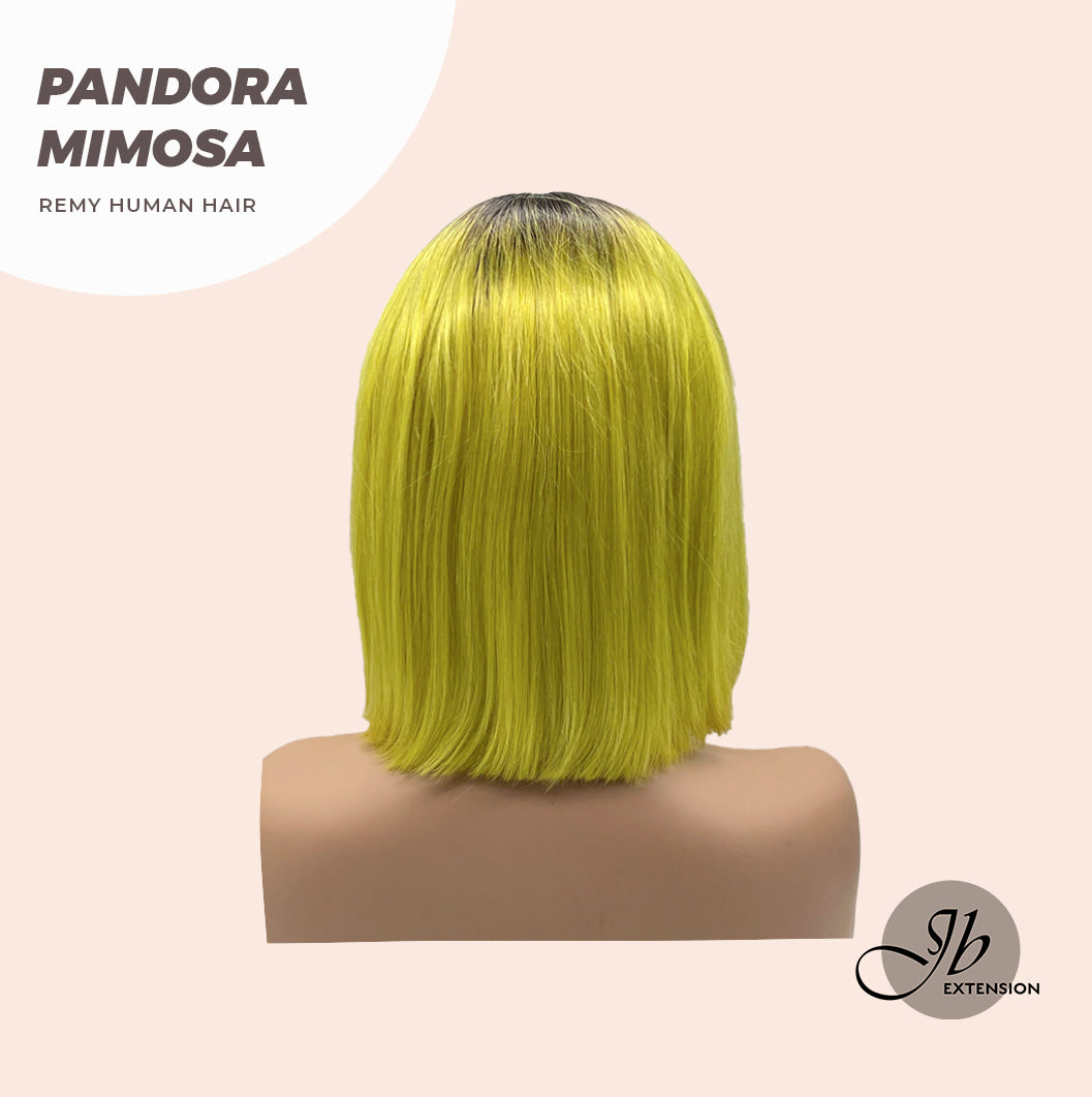 JBEXTENSION 12 Inches Bob Cut Frontlace Real Huaman Hair Crazy Color Wig PANDORA-MIMOSA