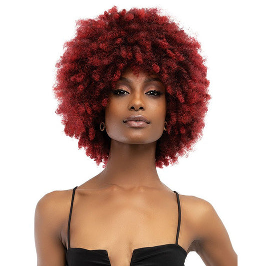 Janet Collection Natural Curly Full Wig - NATURAL AFRO KANE