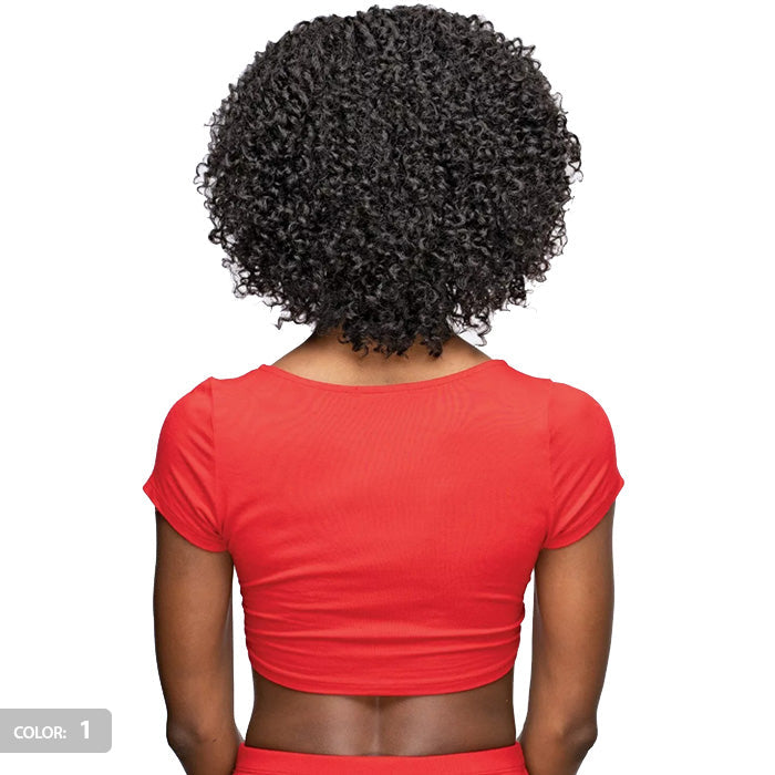Janet Collection Premium Synthetic Natural Afro Full Wig - NEHA