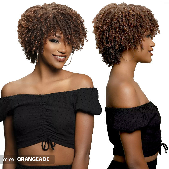 Janet Collection Natural Curly Full Wig - NATURAL AFRO PLES