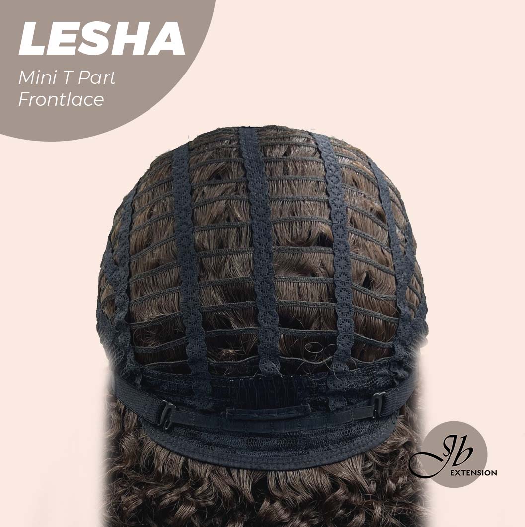 JBEXTENSION 12 Inches Deep Curly Brown Side Part Mini T Part Frontlace Glueless Wig LESHA