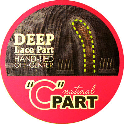 Zury Sis Invisible Top Part Lace Front Wig IV-LACE H ROCHER